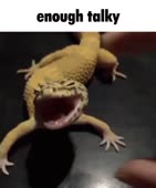 532x640