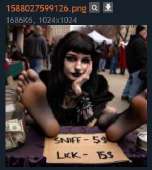 278x310