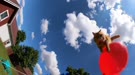 640x360
