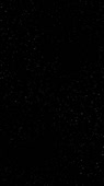 412x732