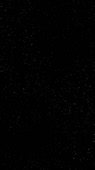 412x732
