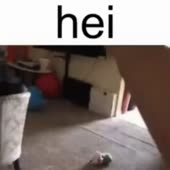 512x512