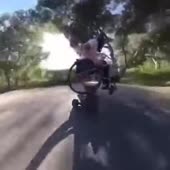 360x360