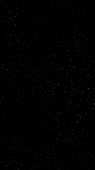 412x732