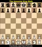 450x500