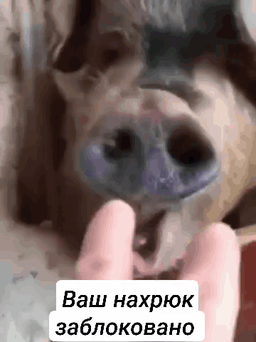 360x480
