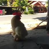2677