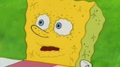 730