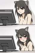 43
