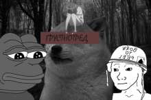 51