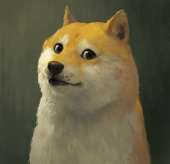 41
