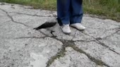 5350