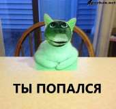 49