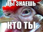 42