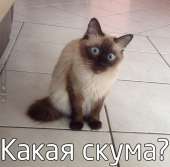 67