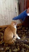 9570
