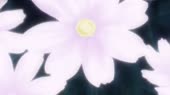 10065