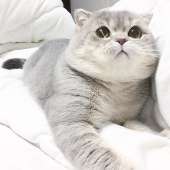 77