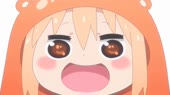 8826