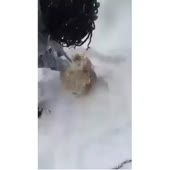 2829