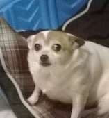 32