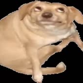 2264