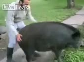 471