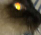 235