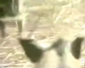1075