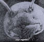 123