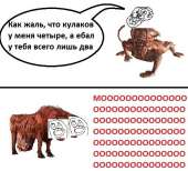 76