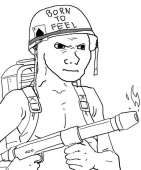 53