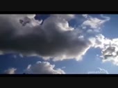 9071