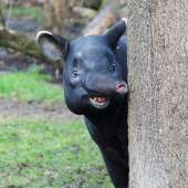 1332
