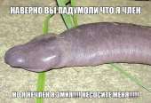 68