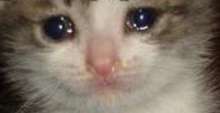 152