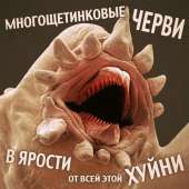 60