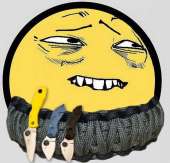 53