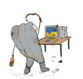 65
