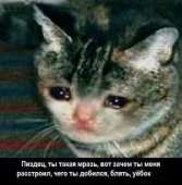 95