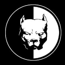 46