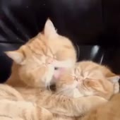 527