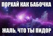 68