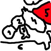 8