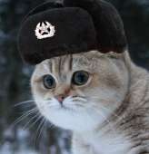 1401