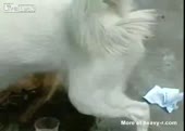 9767