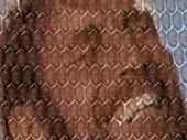 5960
