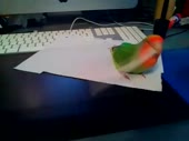 6946