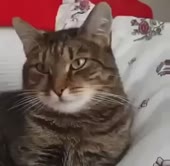 4832