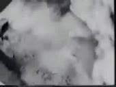 5290
